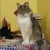 Отзыв от Валерия Русанова